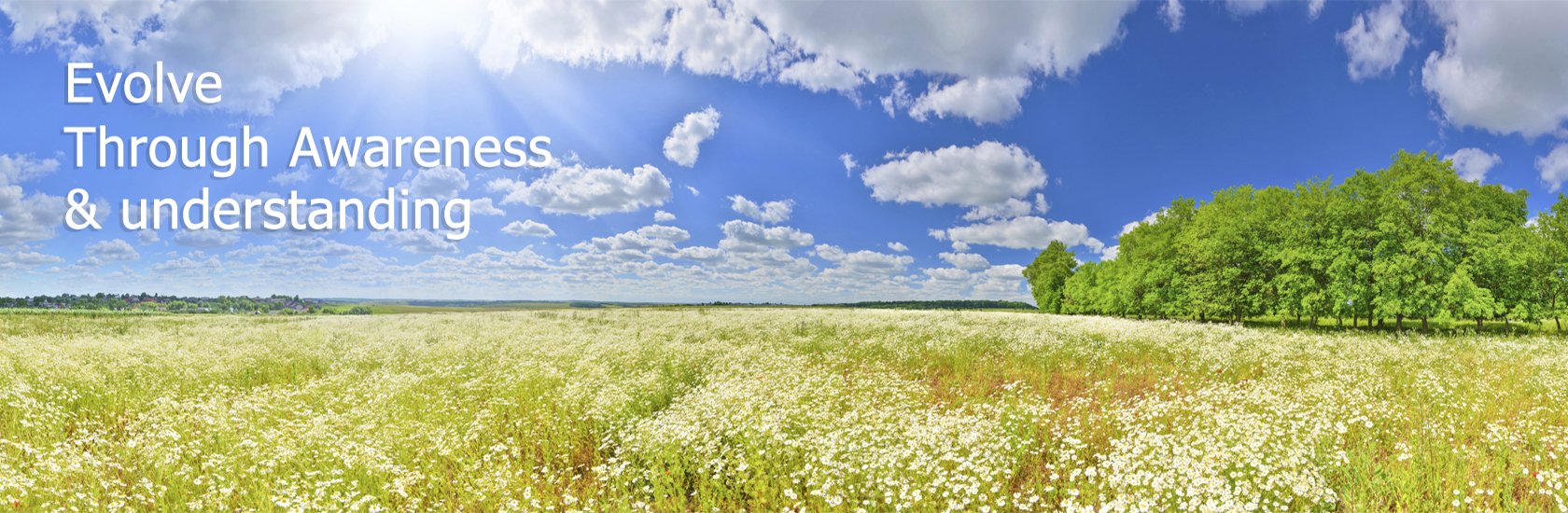 Psychic readings in Brisbane