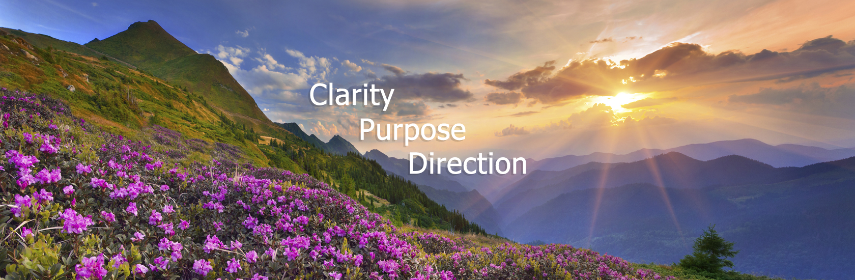clarity purpose psychics brisbane