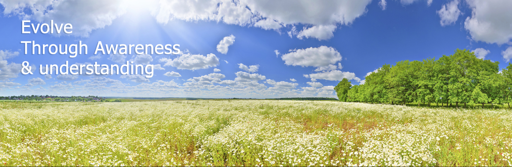 psychic awareness brisbane
