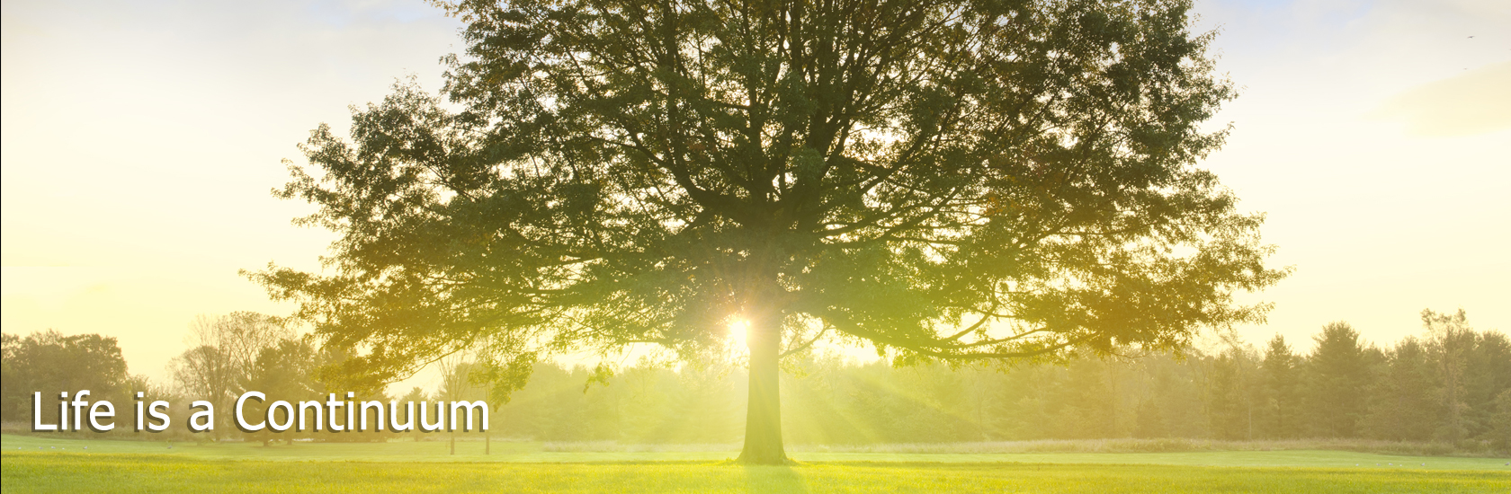 recommended in brisbane